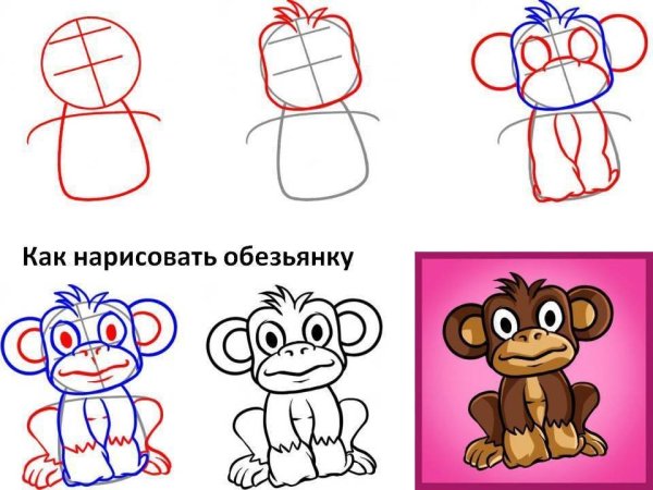 Легкие рисунки обезьяны
