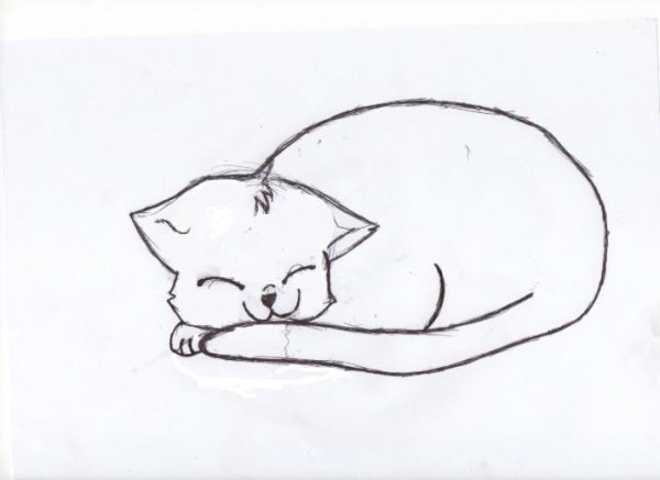 Рисунки котят для срисовки