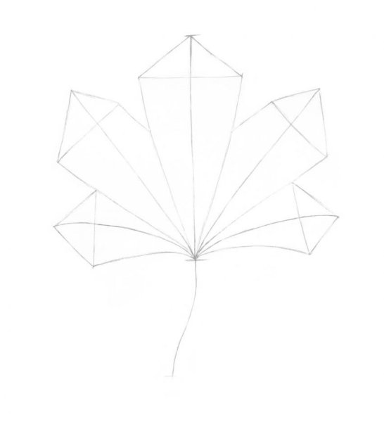 Нарисовать кленовый лист