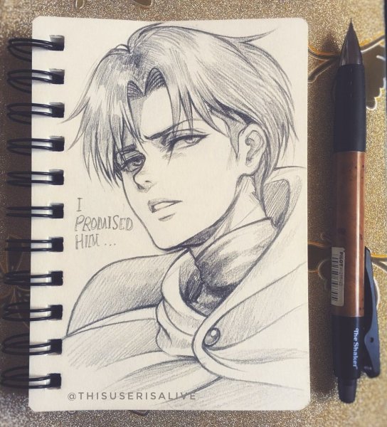 Скетчбук атака титанов Леви