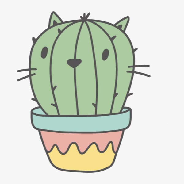 Наклейки кактусы