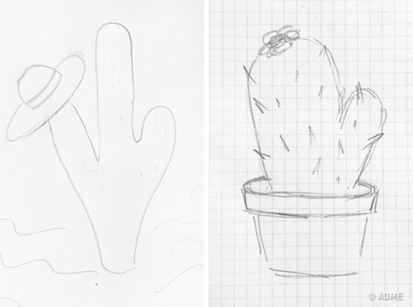 Дудл Суккуленты