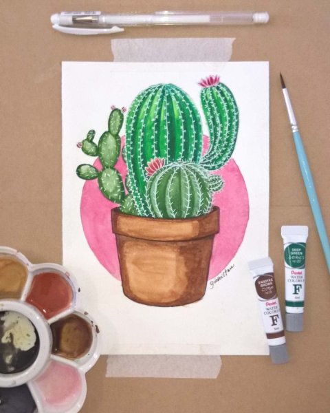 Коллекции для срисовывания кактусы