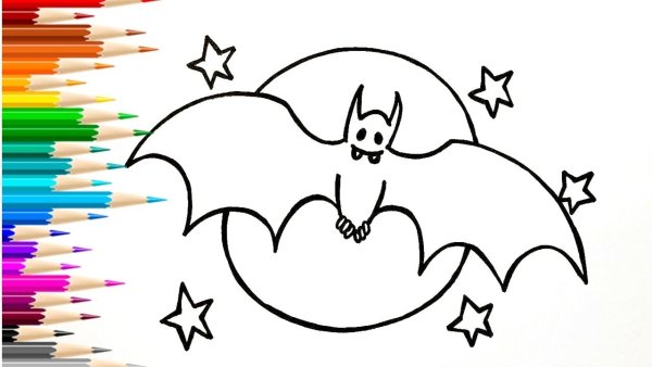 Летучая мышь карандашом