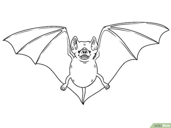 Летучая мышь рисунок поэтапно