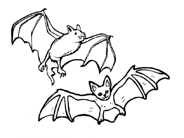 Схема рисования летучей мыши