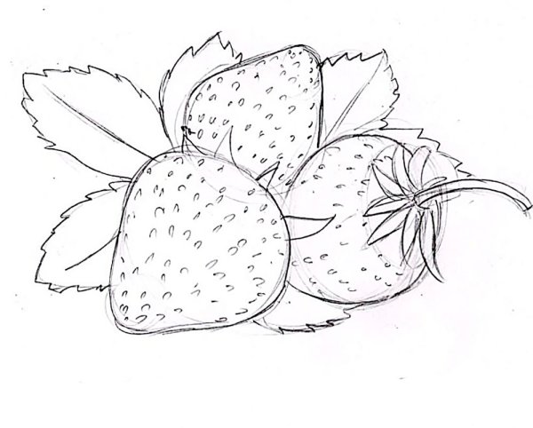 Рисунки фруктов для срисовки карандашом