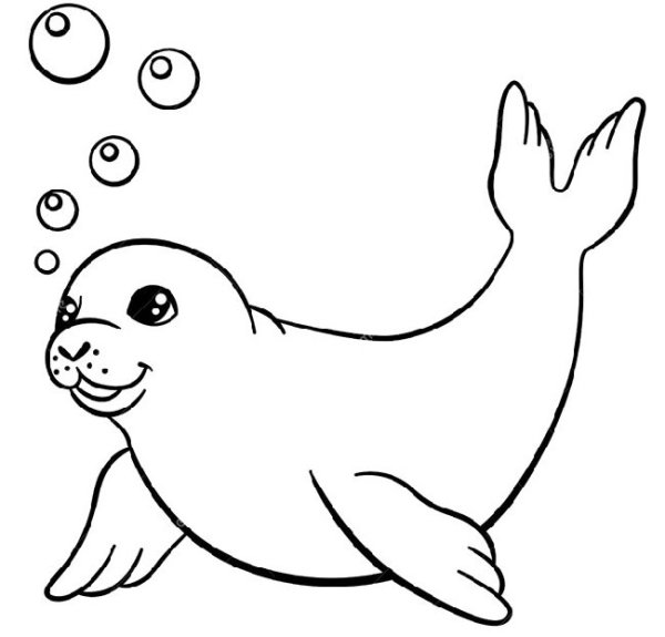 Морской леопард раскраска