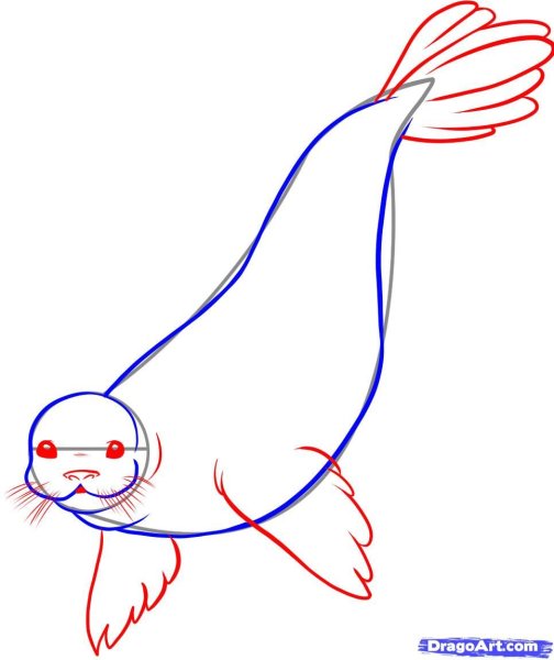 Трафарет морж для детей