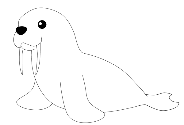 Морской котик рисунок