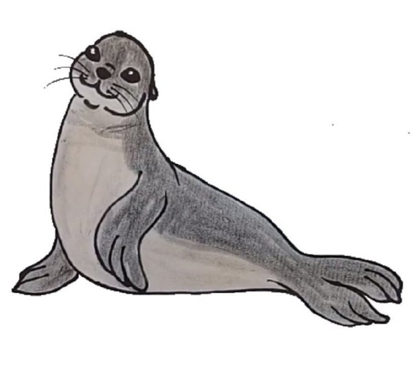 Мультяшные тюлени