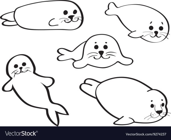 Морской котик раскраска милые