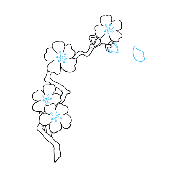 Сакура красками на стене