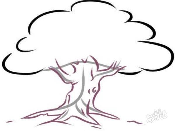 Дерево дуб для срисовки