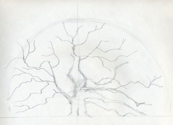 Поэтапное рисование дуба