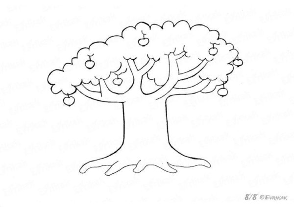 Дерево рисунок карандашом