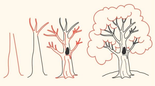 Рисование деревьев для дошкольников