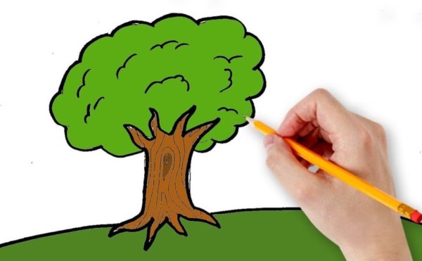 Дерево раскраска