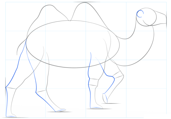 Поэтапное рисование верблюда для дошкольников