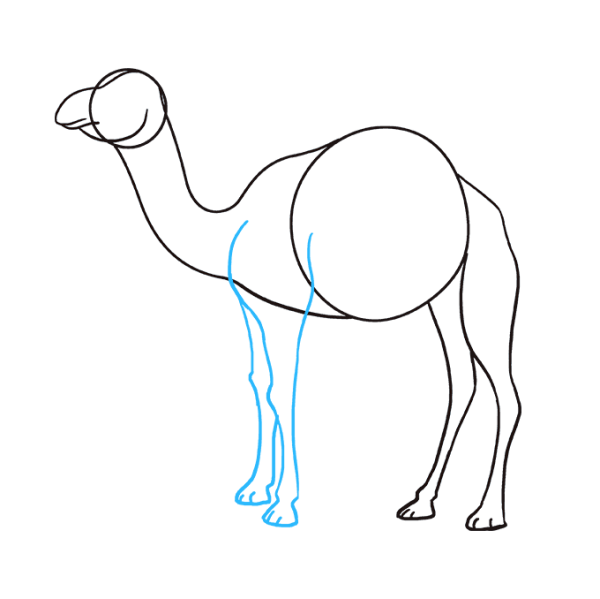 Рисование верблюда