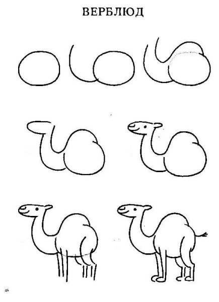 Рисование животных