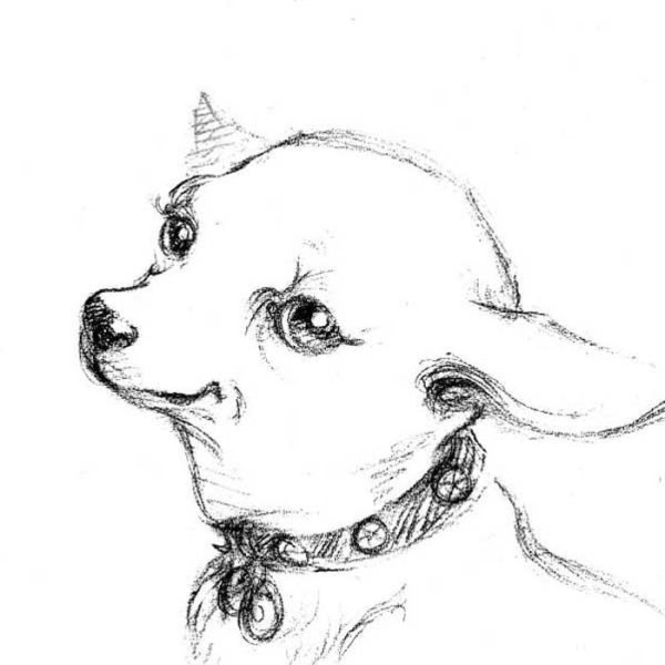 Раскраски чихуахуа красивые