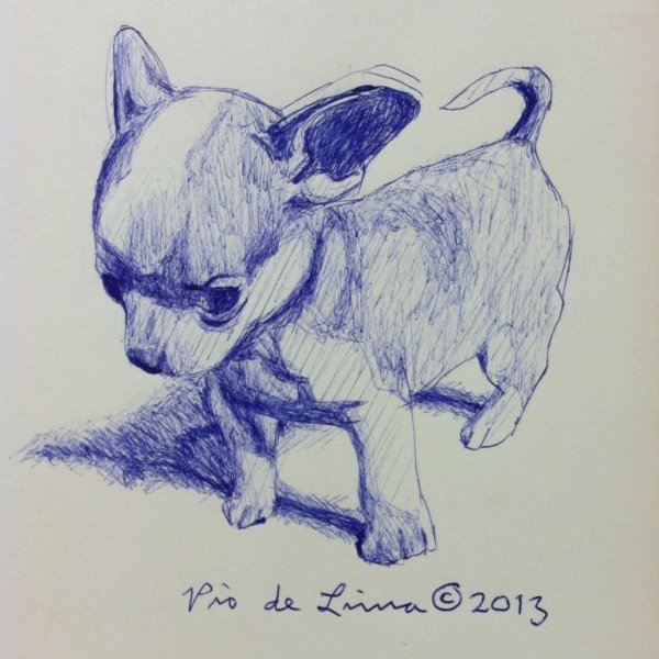 Наброски чихуахуа карандашом в позах