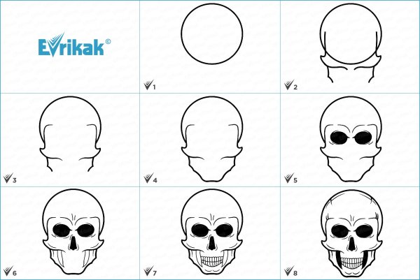 Как нарисовать череп карандашом поэтапно