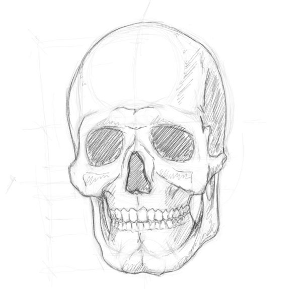 Череп карандашом