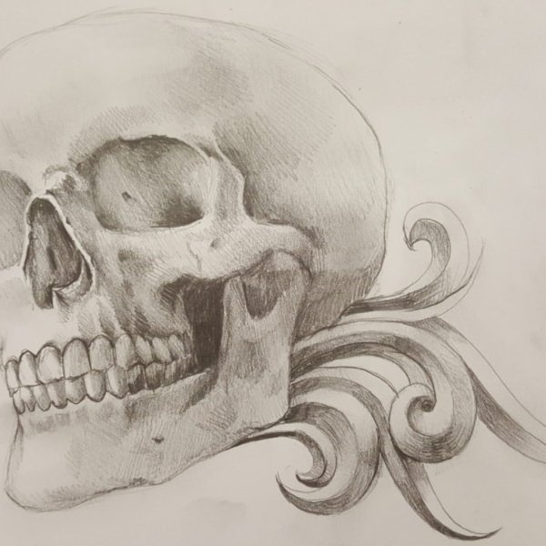 Череп карандашом