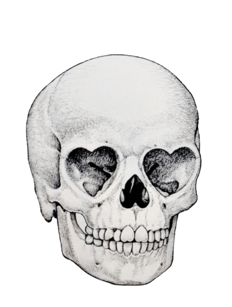 Череп карандашом
