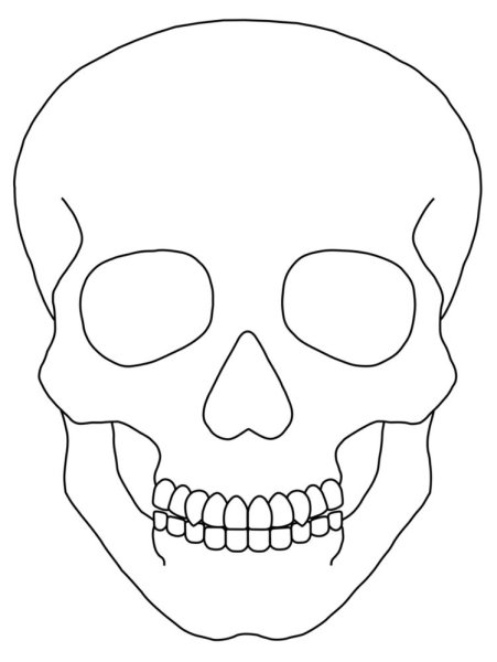 Картинки для срисовки черепа