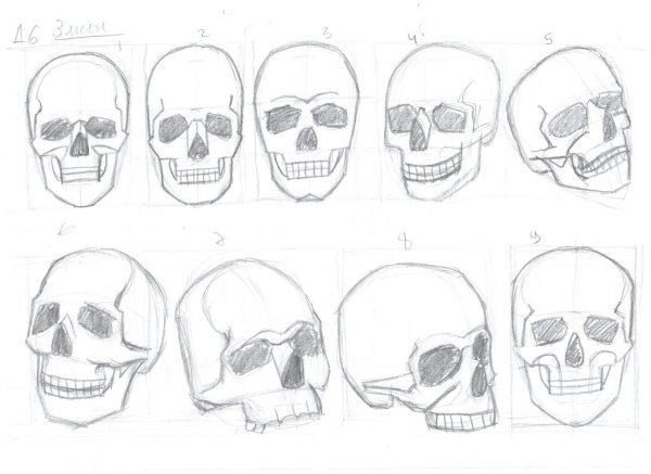 Карандашом череп спереди поэтапно