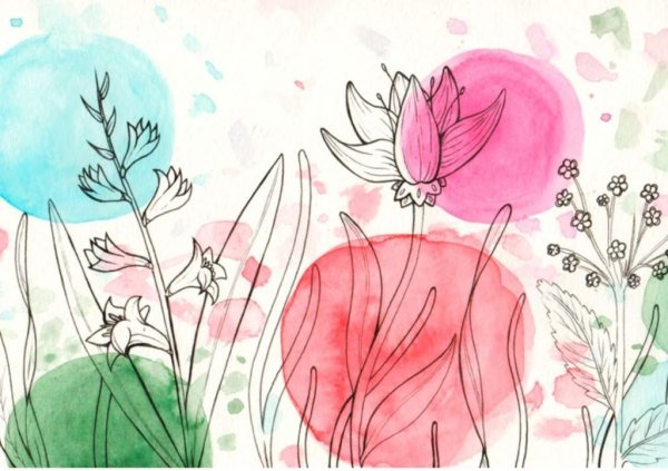 Легкие и красивые розы