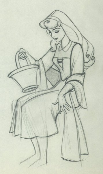 Рисунок спящей красавицы