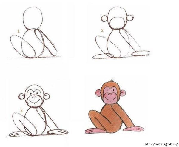 Как нарисовать обезьяну