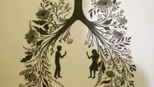 Рисунок лёгких из фильма в метре друг от друга