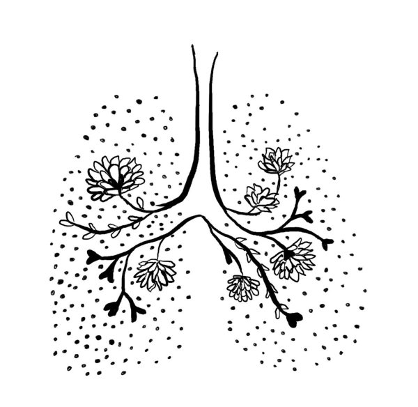 Цветущие легкие рисунок