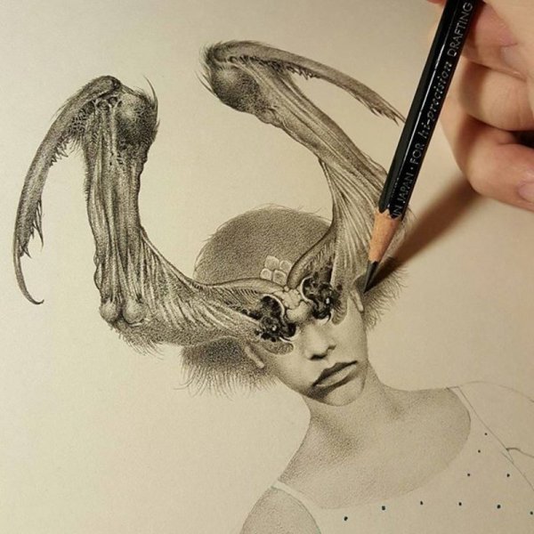 Экология рисунок карандашом