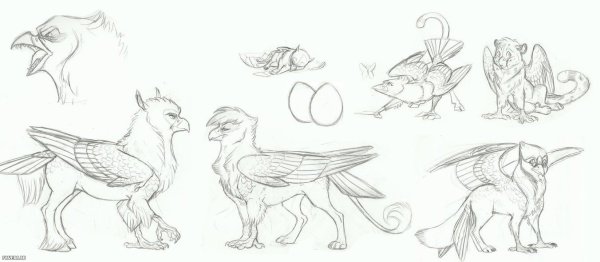 Грифон картинки для срисовки