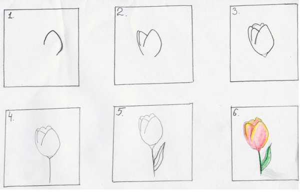 Роза раскраска