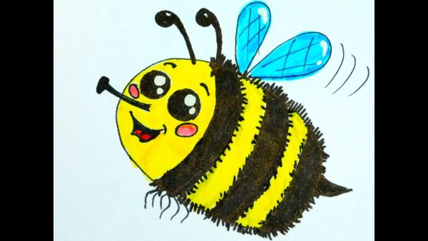 Пчелка рисунок карандашом
