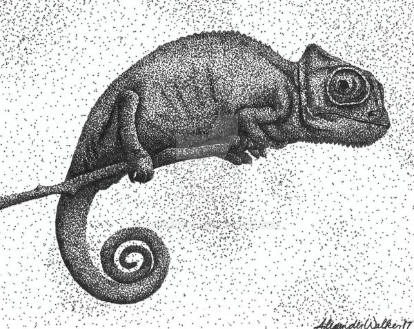 Хамелеон карандашом