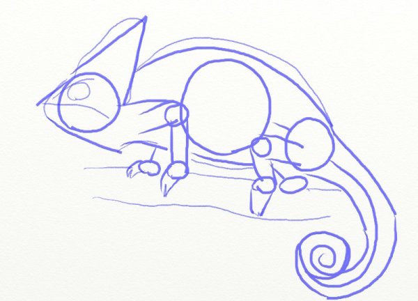 Хамелеон поэтапное рисование