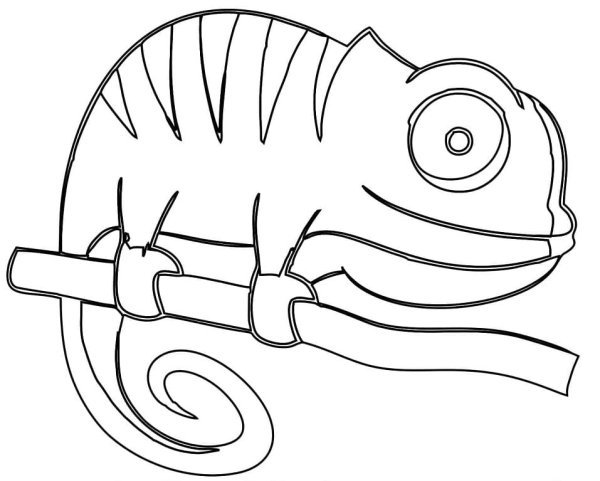 Хамелеон раскраска для детей