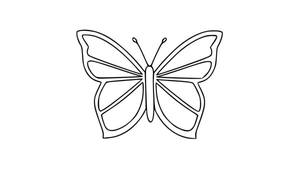 Бабочка раскраска для детей