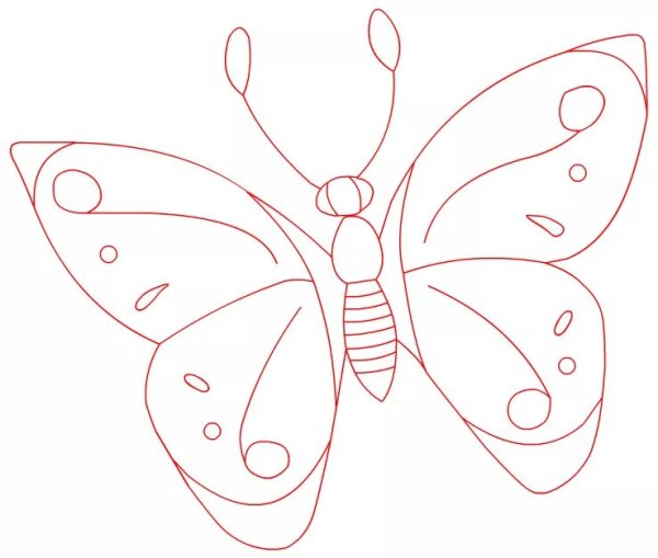 Бабочка для срисовывания