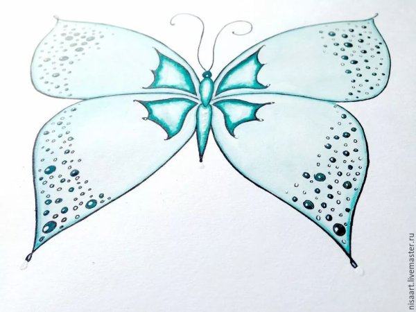Бабочка рисунок