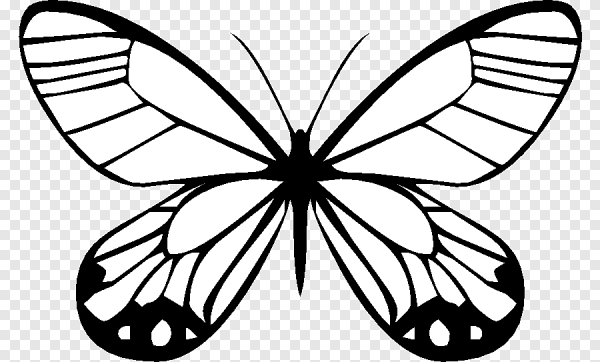 Легкие бабочки рисование