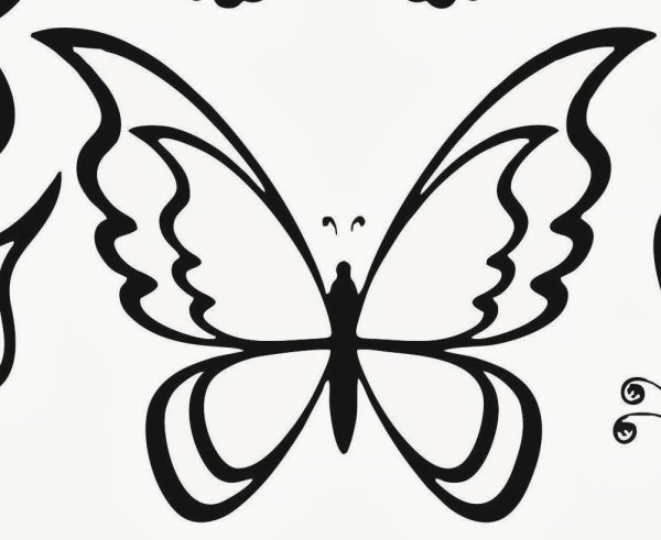 Бабочки для срисовки